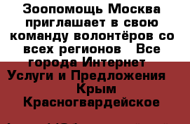 Зоопомощь.Москва приглашает в свою команду волонтёров со всех регионов - Все города Интернет » Услуги и Предложения   . Крым,Красногвардейское